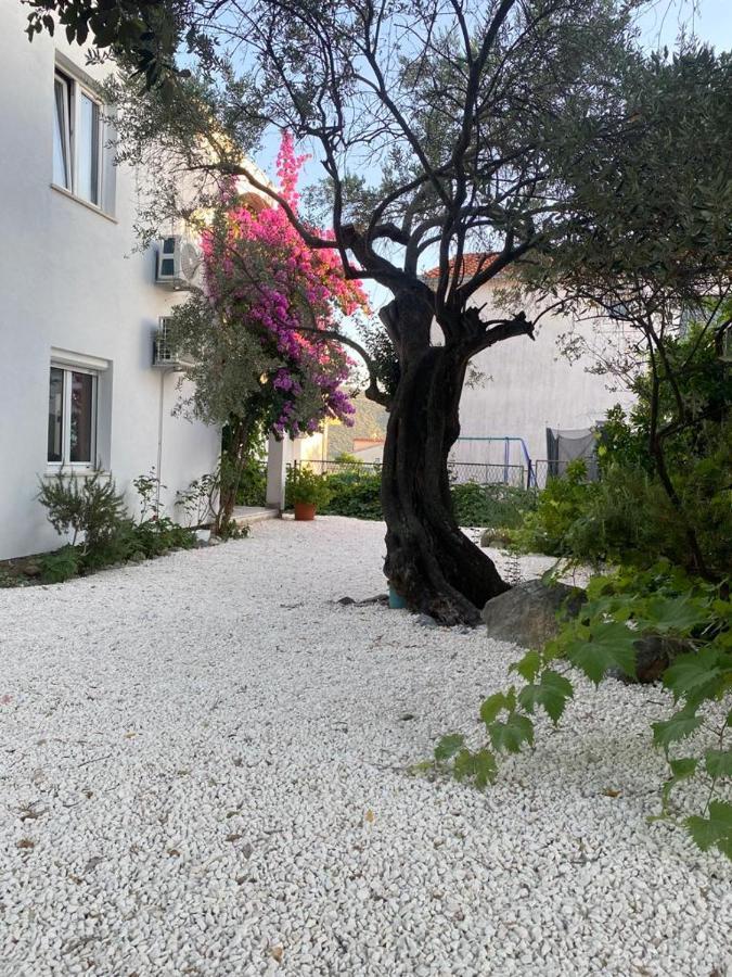 Olive Garden Apartments Poljica  Екстер'єр фото